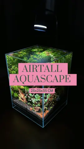 The fun part begins… scaping this 25x25x35cm Airtall Ultra Clear Tank from @gwens.aquakitz  From a bare glass box to a planted escape 🌱 Paired with the LumiStem light to complete the look by enhancing the vibrant colors and textures of the plants, bringing the whole aquascape to life ✨💖 #aquascaping #nanotank 