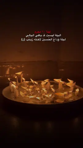 اللهي بعظمة هاذا اليوم ما في قلبي  #محرم #الوداع #شموع #ليله_العاشر_يامولاتي_يازينب #باسم_الكربلائي 