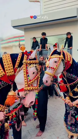 #CapCut Dur Najaf and Dur Hussain Hazri Shab-e-Ashura😭💔
