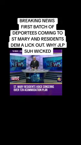 #wheatlymustgo #trendingvideo #JLP #pnp #foryoupage @Asha11 @Drebrian 