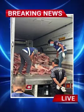 Operation Taring Wawasan Kelantan – Beschlagnahmung von Schweinefleisch Das 8. Bataillon der General Operations Force (PGA) hat einen Schmuggel von Schweinefleisch aufgedeckt, nachdem zwei verdächtige Lastwagen auf der Hauptstraße von Kampung Apal an der Fernstraße Kelantan–Terengganu angehalten wurden. Der Einsatz fand am 9. August 2025 um 4:45 Uhr morgens im Rahmen der Operation Taring Wawasan Kelantan statt. Bei der Kontrolle wurden 16.000 Kilogramm Schweinekarkassen in den Lastwagen entdeckt. Die Fahrer konnten keine gültigen Dokumente für die Ladung vorlegen. Es besteht der Verdacht, dass das Fleisch aus Thailand geschmuggelt wurde. Zwei Fahrer und ein indischer Beifahrer im Alter von dreiundzwanzig bis sechsundvierzig Jahren transportierten die Schweinekarkassen für den lokalen Markt. Der Gesamtwert der beschlagnahmten Ware einschließlich der Lastwagen wird auf 1,04 Millionen Malaysische Ringgit (RM) geschätzt. Die beschlagnahmte Ware wurde dem Veterinäramt des Bundesstaates Terengganu zur weiteren Bearbeitung übergeben. Der Fall wird gemäß § 36 Absatz 1 des Tiergesetzes von 1953 untersucht #news #breakingnews #crime #truecrime #worldnews  creatorsearchinsights 