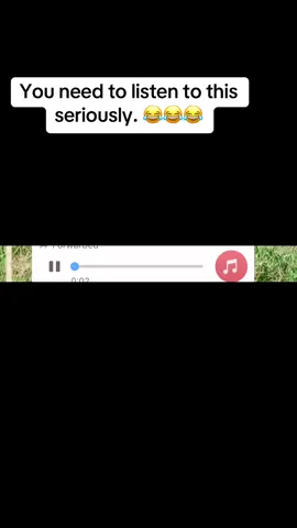 😂😂😂😂😂😂😂