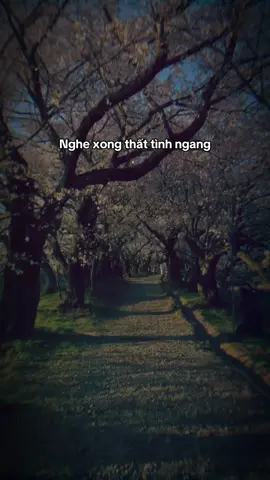 Tình là thứ càng si càng đau #goldmk #gmkremix #vanthienhanh #tramnamsauconnho #khinguoikhongxung 
