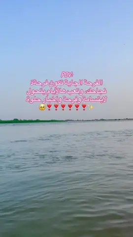 الفرحة الجايه فرحة نجاحك بإذن اللّٰه❣️🌷🤲🏽#ثالث_متوسط #ثالثيون #الشعب_الصيني_ماله_حل😂😂 #درجاتي_ليست_دليل_قدرا 