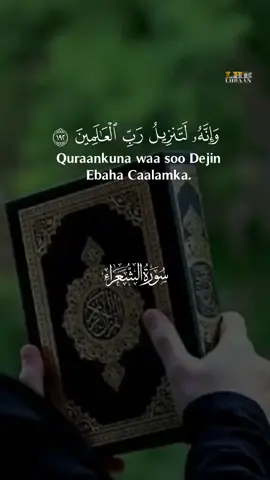 Surah Al Shuara 