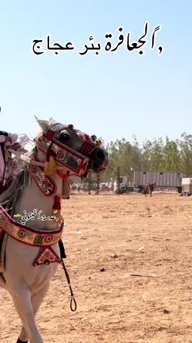 #عدسة_الخيتوني📸 #الرقم_الصعب🔥👑 #افراح_ال_الحمدي #عقد_الجعافرة_العربان🐎🔥 #ليبيا_طرابلس_مصر_تونس_المغرب_الخليج 