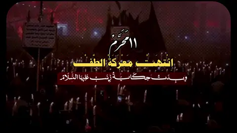 ١١ مَحَرَّمْ اِنْتِهَتْ مَعْرَكَةْ الطَّفْ وِبِدَتْ حِكَايَةْ زِينَبْ عَلِيهَا السَّلَامْ #سيدة_زينب_عليه_السلام #محرم #لايك #متابعه #اكسبلور 