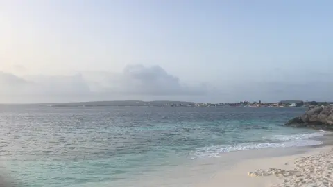 Party am Strand in Bonaire 🇧🇶 am Flamingo Airport international  #urlaub #bonaire🇧🇶 #karibik #vacation #karibikreise 