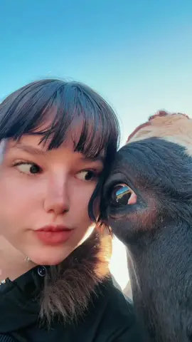 🐄💞