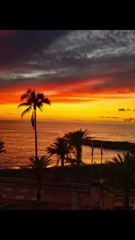 Beautiful Sunset in Tenerife #sunset  #panorama  #tenerife  #ocean #canarias 