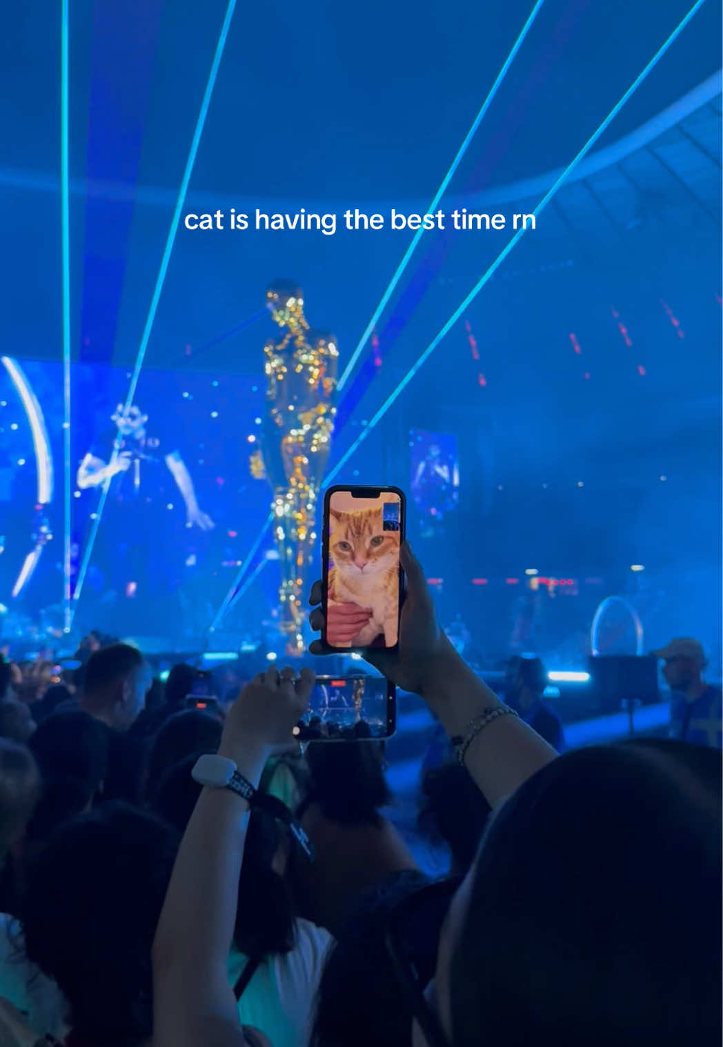 others would be jealous😺                           #theweeknd #ahtdtour #munich #afterhourstildawnstadiumtour 