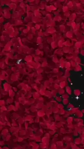 #CapCut 