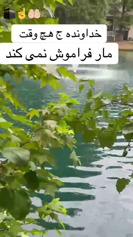 #fypシ゚viral #fyp #viral 