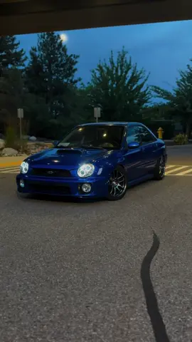 Finally wired my halos 😜 #fyp #subaru #wrx #bugeye #lowered 