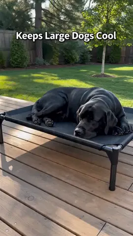 Your dog deserves a comfy and stylish bed! This is the **viral elevated mesh** dog bed that keeps your dog cool while they're lounging. It's designed to be both comfortable and fashionable. Get yours now and make your dog happy! **Shop now**! Click the **orange** shopping cart below and get yours today. #coolingmatfordogs #coolingdogbed #campingmat #campingcot #mattresstopperrecommendation #chewproofdogbed #elevateddogbowl #coolingpetmat #portabledogcrate #portablepetpen