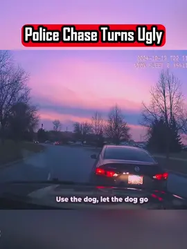 Police Chase Turns Ugly #copsoftiktok  #cops #bodycam  #police 