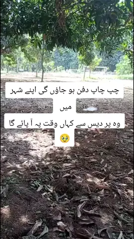 #foryoupageofficiall #پردیس #perdesi 