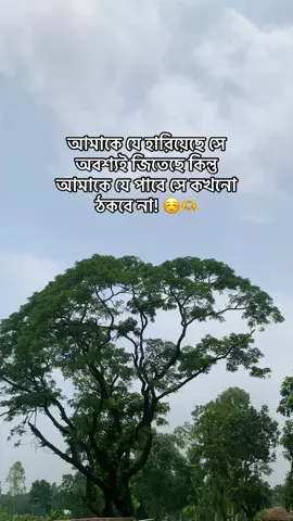 আমাকে যে হারিয়েছে সে অবশ্যই জিতেছে কিন্তু আমাকে যে পাবে সে কখনো ঠকবে না! #captoin #fyp #viral #cupcut #foryou @For You @TikTok 