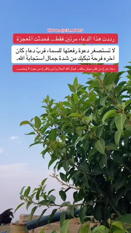 🌙 قلتها مرتين… فجاءت الإجابة ✨ #دعاء_مستجاب #دعاء #استجابة_الدعاء #امين #fyp 