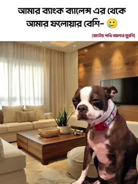 দুঃখের কথা কারে শুনাবো 😭🙏🏻,,                 #fypシ #memes #viralvideo #funnyvideos #copylink @tiktokbangladesh 