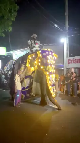 වෙල් ෆැන්ටා ගැහුව යාලුවේ 😂🙏#trending #fyp #minuwangoda_city🇱🇰 #minuwangoda #srilanka 