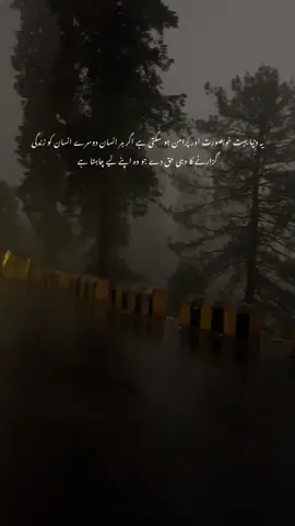 یہ دنیا بہت خوبصورت اور پُرامن ہو سکتی ہے اگر ہر انسان دوسرے انسان کو زندگی گزارنے کا وہی حق دے جو وہ اپنے لیے چاہتا ہے #fyp #viral #trending #nature #UrduQuotes 