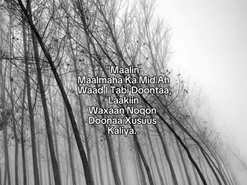 hmmm😊🥀... #somalitiktok #viralvideo #textvideo #foryou #fyyyyyyyyyyyyyyyyyyyyyyyyyyyyyyyyyy 