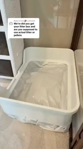 All about are rooly_buns litterbox! We use the litter box pellets, and the paper litter combo to make cleaning a breeze🥰 Available Dm now #CutePets #PetContent #TinyPaws #bunny #rabbit  
