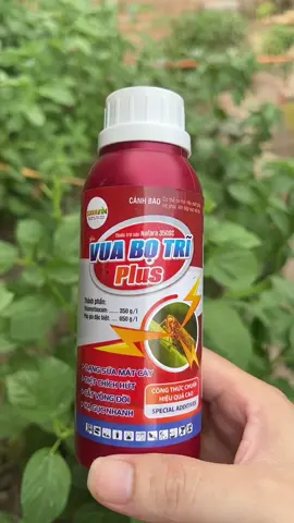 #AnhMoNongNghiep #SauRieng #BoTri #RepSap #ThuocBaoVeThucVat CHAI VUA BỌ TRĨ PLUS 240ML PHA 400l nước chuyên trị bọ trĩ , rệp , rầy cho sầu riêng , bưởi và các loại côn trùng gây hại khác