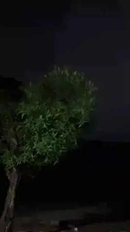أجواء
