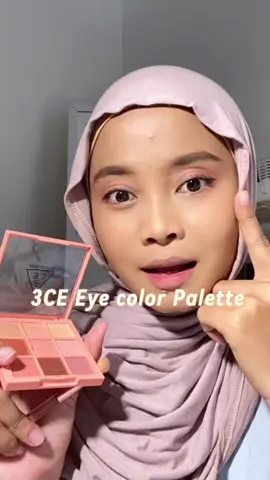 #3cemultieyecolorpalette #3cecrewid #dailyklook 