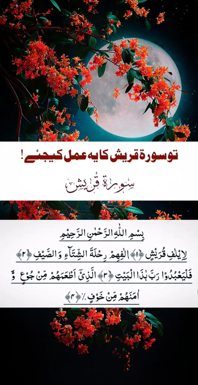 Le meilleur endroit pour visiter Madina 1 Madina, également connue sous le nom d'Al-Madina Al-Munawwarah, est une ville sacrée d'Arabie saoudite et un sommet Mdine, également connu sous le nom d'Al-Madina Al-Munawwarah, est une ville sacrée de l'Arabie saoudite et une destination. de choix pour le pèlerinage islamique. Célébrer pour la mosquée du prophète (Al-Masjid an-Nabawi), Médine revêt une immense importance religieuse et historique dans l'islam. Des pèlerins du monde entier visitent Médine pendant le Hajj et la oumra pour découvrir son atmosphére paisible et visiter des monuments tels que la mosquée Quba, la mosquée Qiblatain et le mont Uhud. Avec son riche héritage islamique, son ambiance spirituelle et ses commodités modernes, Médine est une ville incontournable pour les voyageurs musulmans. Planifiez votre voyage à Médine pour une expérience profondément spirituelle et culturellement enrichissante.symbolisant l'unité et la dévotion des musulmans du monde entier. Ce site sacré n'est pas seulement un chef-d'œuvre architectural, mais aussi un lieu de profonde révérence et de dévotion #MadinaMunawwara #islamicvibes #plztiktokteamdontunderviewmyvideos #foryoupage 