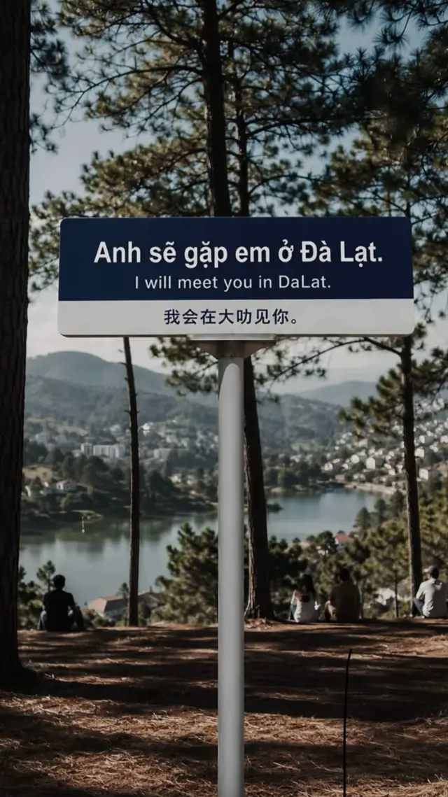 #dalat #dalatreview #dalatstory #dicudalat #dalatreviewcotam 