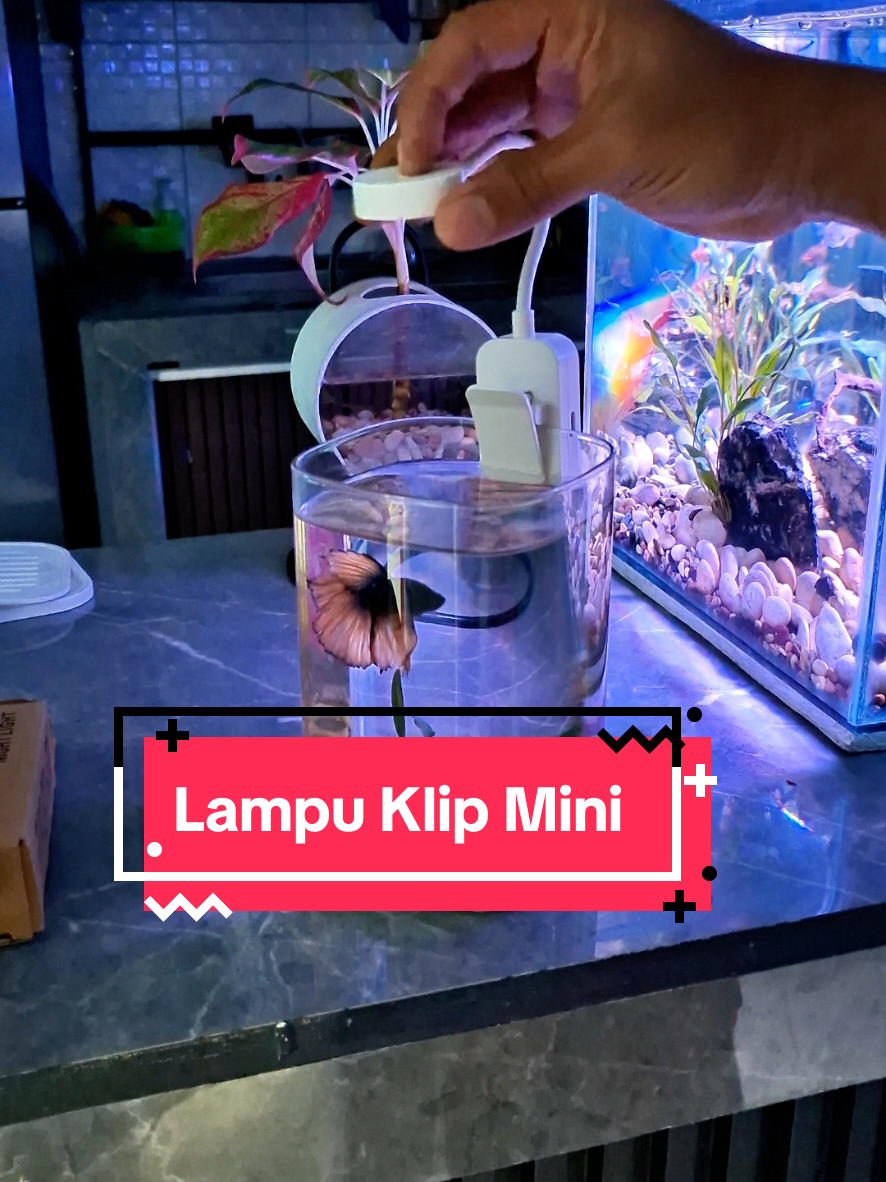 LED Clip Lamp Mini (3 mode)👆 #lampumini #lampuklipklip #lampu3warna #lampuled #serbaguna 