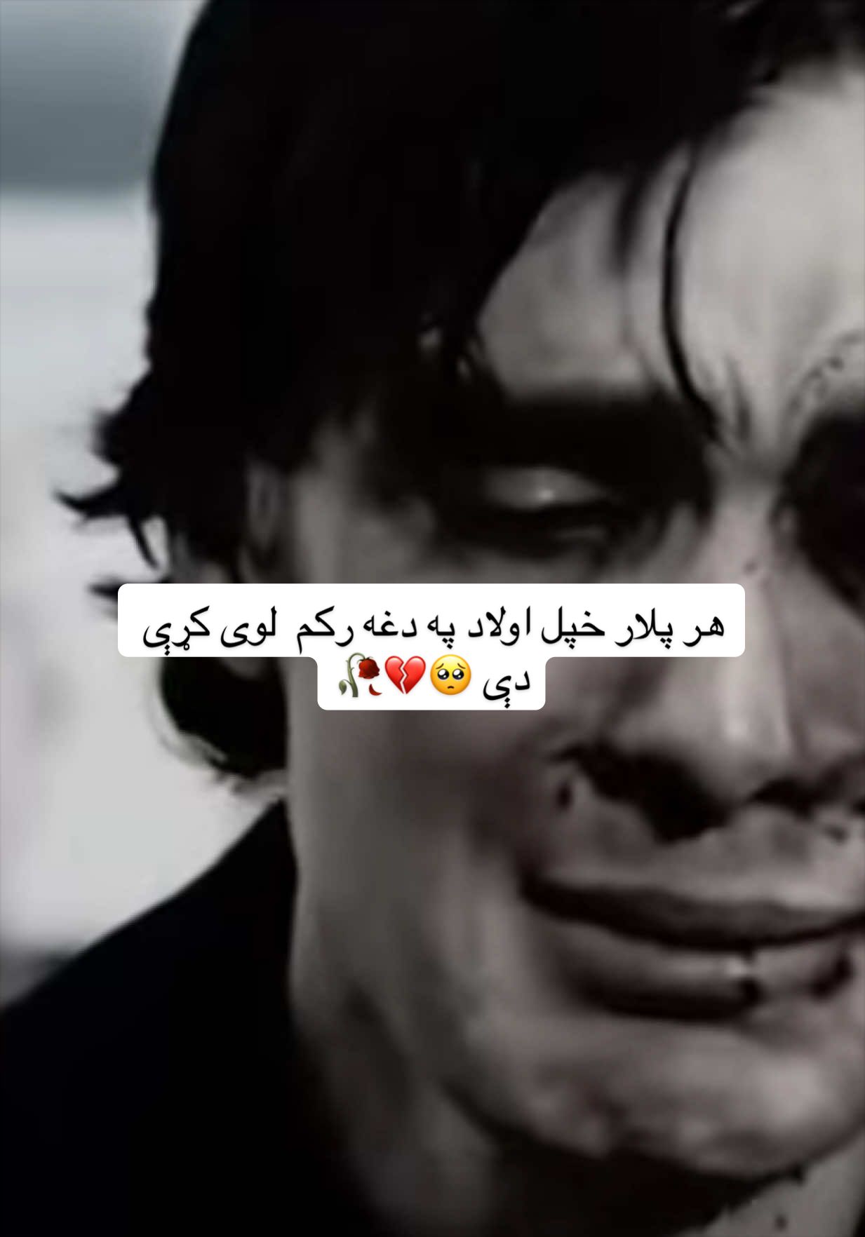 په نړې کی یواځنی کس چې مېنه یې بی مطلبه ده 🫂🌸💯#canada_life🇨🇦 #afghanistan🇦🇫 #viral #viralvideo #Foryou @کــنـــــدهــاری🇨🇦🦅🇦🇫 @—𝓕𝓸𝓻𝓮𝓿𝓮𝓻— 