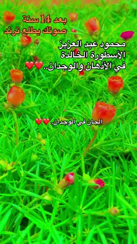 محمود عبد العزيز الجان رحمك الله #fy 