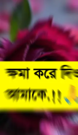 ক্ষমা করে দিও আমাকে🙏🙏#pyfツ #pageforyou #tiktok #bastobkota #bangladesh @🔰 Jalal Uddin Jalal 🔰 