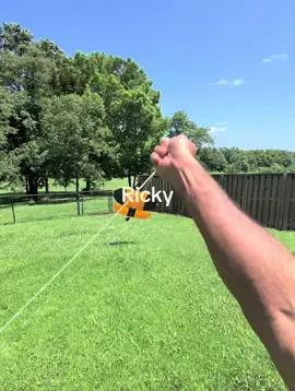 #kite #kites #kiteflying 