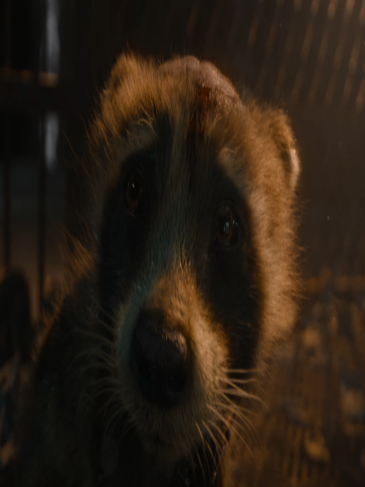 such a tragic backstory😓 #Rocket #edit #marvel