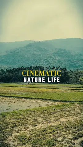 #CapCut #naturevibes #@tiktok creators 