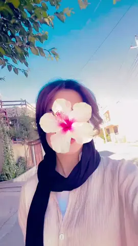 من گوڵەکەم بە خوێنی خۆم گەورەکرد مافی خۆمە بزانم بۆ وشک بووە🩶 #foryoupage #foryou #fyb #virall #creatorsearchinsights 