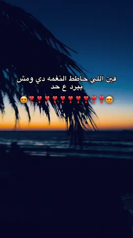 #انس_ابوسنينة #عدي_زاغة #fyp #اعاده_نشر🔁 #العريش 