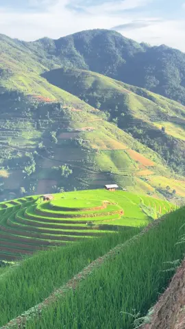Ngày 29/6 tại trạm mâm xôi #chill #xuhuong 