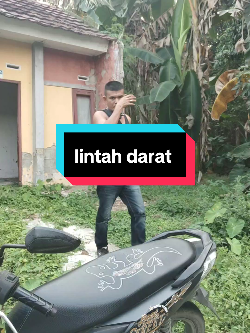Lintah darat #lintahdarat #fyp #hiburan 