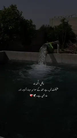 بیشک۔🕊️❤️‍🩹 #fyp #forupage #plzdontunderviewsmyvedios #pleaseunfrezzemyaccount #veiwsproblem @TikTok 