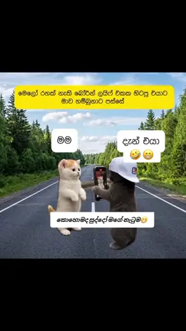 😂😁 #foryoupage❤️❤️ 