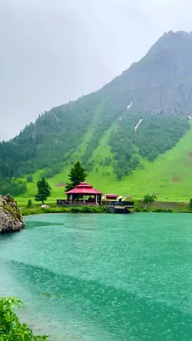 Natural beauty of Pakistan 🏞️🌲🏞️🌲🌲🌲🌲🌲🌲🌲#creatorsearchinsights #mexicovsczechia #viral #fyp #fyp 