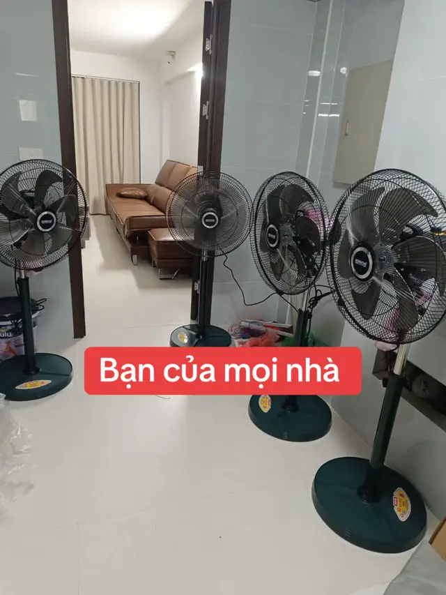 Quạt cây vòng bi nam châm siêu bền #vuaquat #tietkiemdien #quatgiadinh 