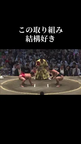 霧島負けたけどなんか好き#霧島#翠富士#名古屋場所#新大関#座布団@MY @霧栄翔💞 @れな @￴￴    ￴ ￴￴ @ファミチキ先輩2代目🍗🐓 @oshinobeya @いったつ @紙相撲の日常 @しょうのさと！正代推し！【二代目】 @David    beckhM @犬の里🐶 @相撲の極み @豊昇龍 @相撲のれっぺ 