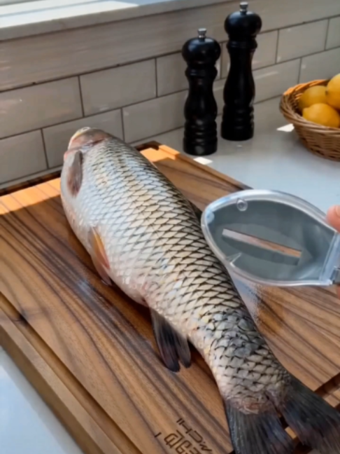 Si quieres comer pescado bien fresco, usa este desescamador. En diez segundos deja un pescado listo, y las escamas caen directamente en el recipiente. Práctico y cómodo.#Fish #TikTokShop #fyp #tiktok #DealsForYouDays